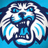 Villanova University Wildcats 1842 Dell Inspiron Skin